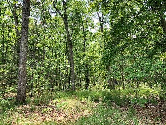 699 E White Lake Dr, House other with 3 bedrooms, 1 bathrooms and null parking in Twin Lake MI | Image 17