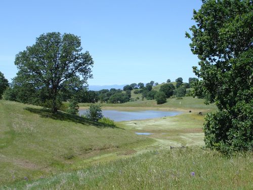 LOT 9 River Downs Way, Cottonwood, CA, 96022 | Card Image