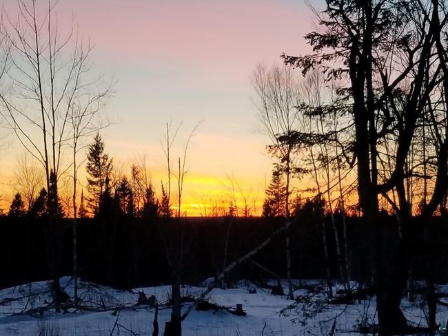 5241 Hut Two Rd, House other with 1 bedrooms, 0 bathrooms and null parking in Finland MN | Image 11