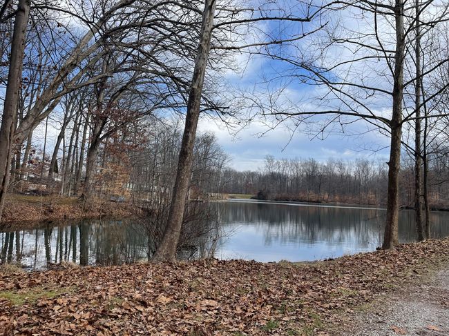 Pond view from the drive out. | Image 10