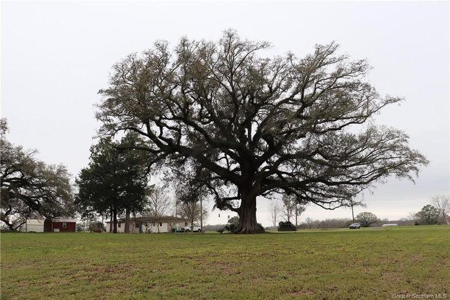 0 Highway 347, Home with 0 bedrooms, 0 bathrooms and null parking in Arnaudville LA | Image 24