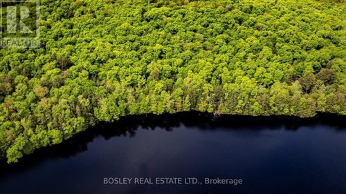 13-lot-6-1310-camel-lak-1310 Camel Lake Road, Muskoka Lakes (Watt), ON, P1L1X4 | Card Image