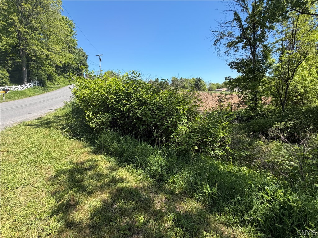Land in Onondaga 3