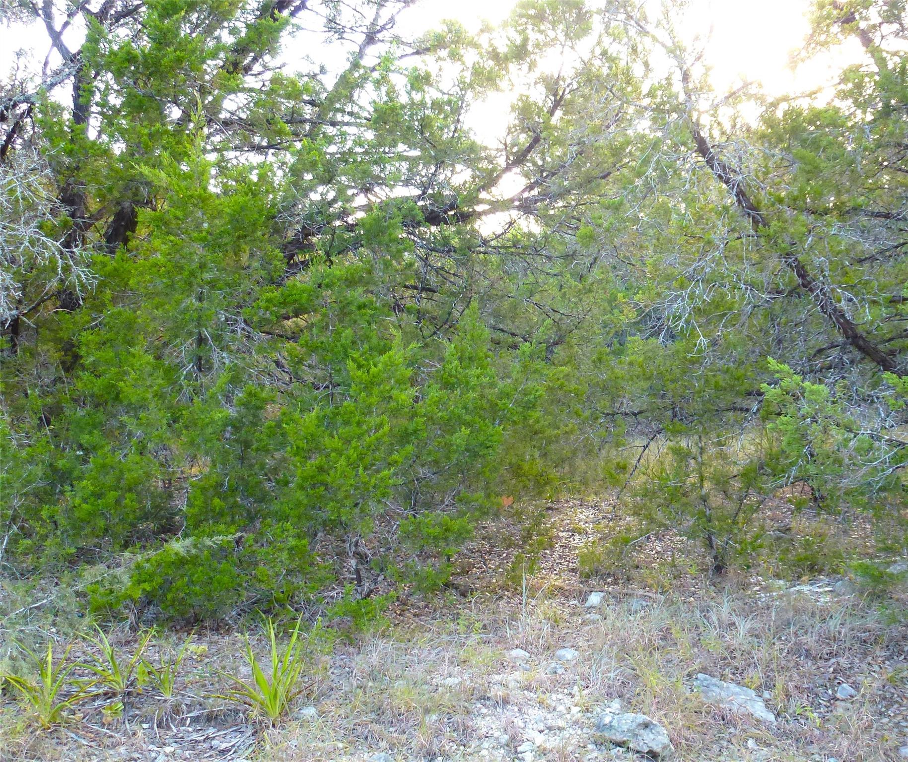 Land in Lago Vista 4