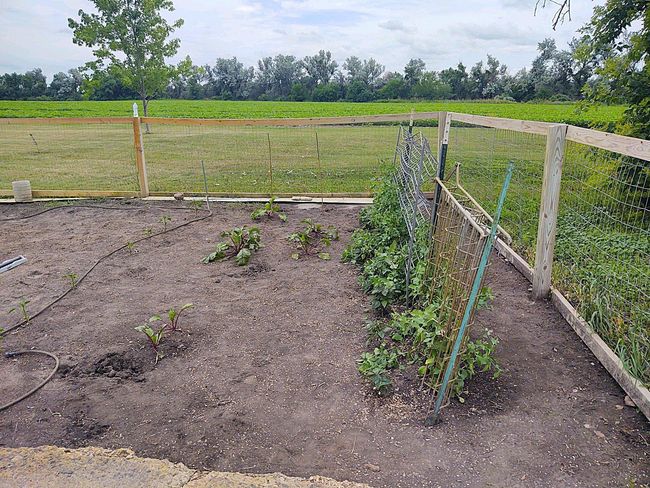 Garden | Image 89