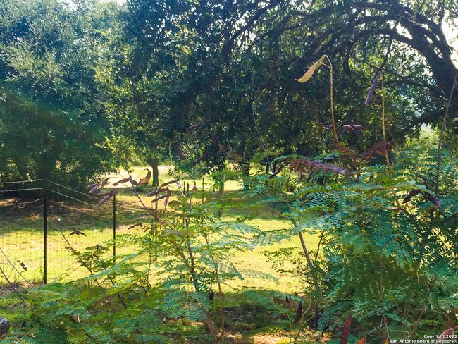 208 Scenic Mountain Dr, House other with 2 bedrooms, 3 bathrooms and null parking in Lakehills TX | Image 42