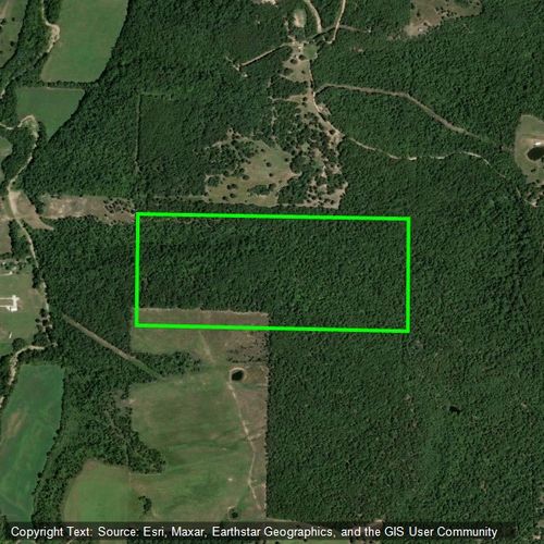 TBD County Road 919, Alpena, AR, 72611 | Card Image