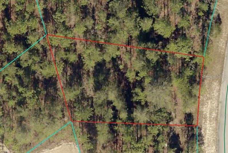 Land in OCALA