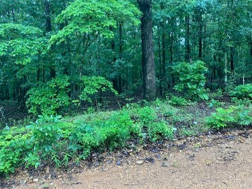 TBD Newman Trl, Williford, AR, 72482 | Card Image