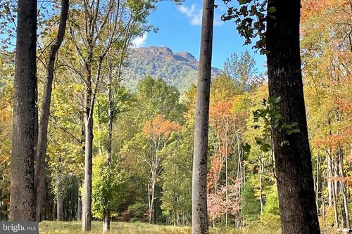 0 Pine Hill Rd, SPERRYVILLE, VA, 22740 | Card Image
