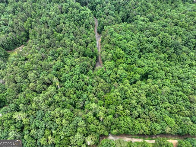 LTS 5, 6, 7 Mountain Springs Rd, Home with 0 bedrooms, 0 bathrooms and null parking in Ellijay GA | Image 9