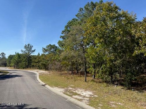 435 Istria Way Se, Bolivia, NC, 28422-8345 | Card Image