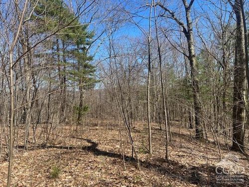 0 Amys Ln, Spencertown, NY, 12165 | Card Image