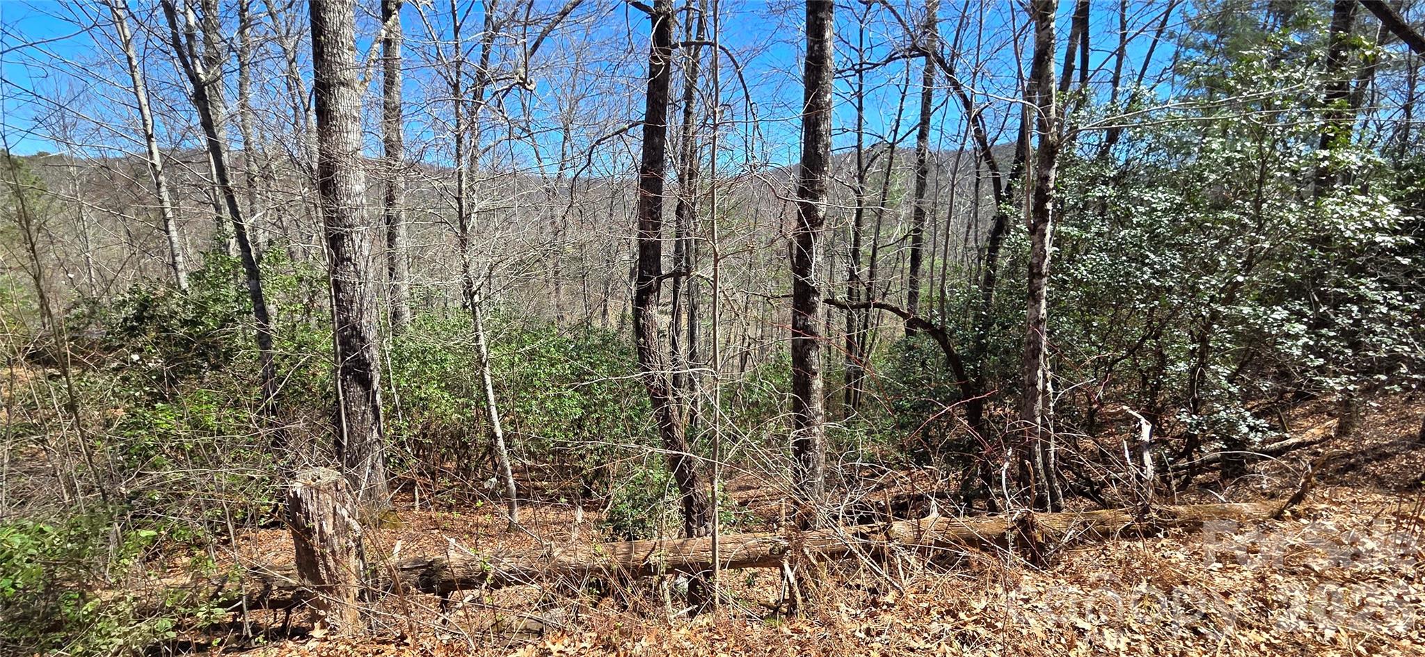 Land in Balsam Grove 3