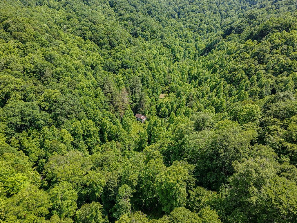 Land in Grundy 3