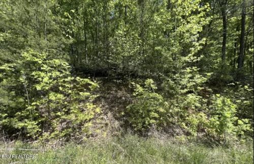 Lot 22 Green Meadows Dr, Sevierville, TN, 37876 | Card Image