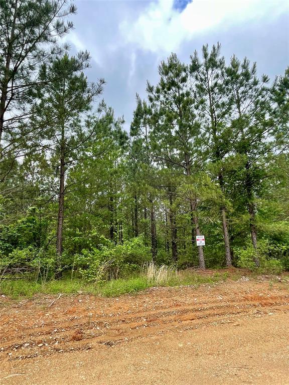 Land in Broken Bow