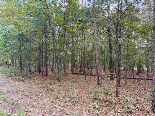 Lot 5 &amp; 6 Ellen, Higden, AR, 72067 | Card Image