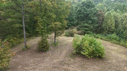 2324 County Road 758, Riceville, TN, 37370 | Card Image