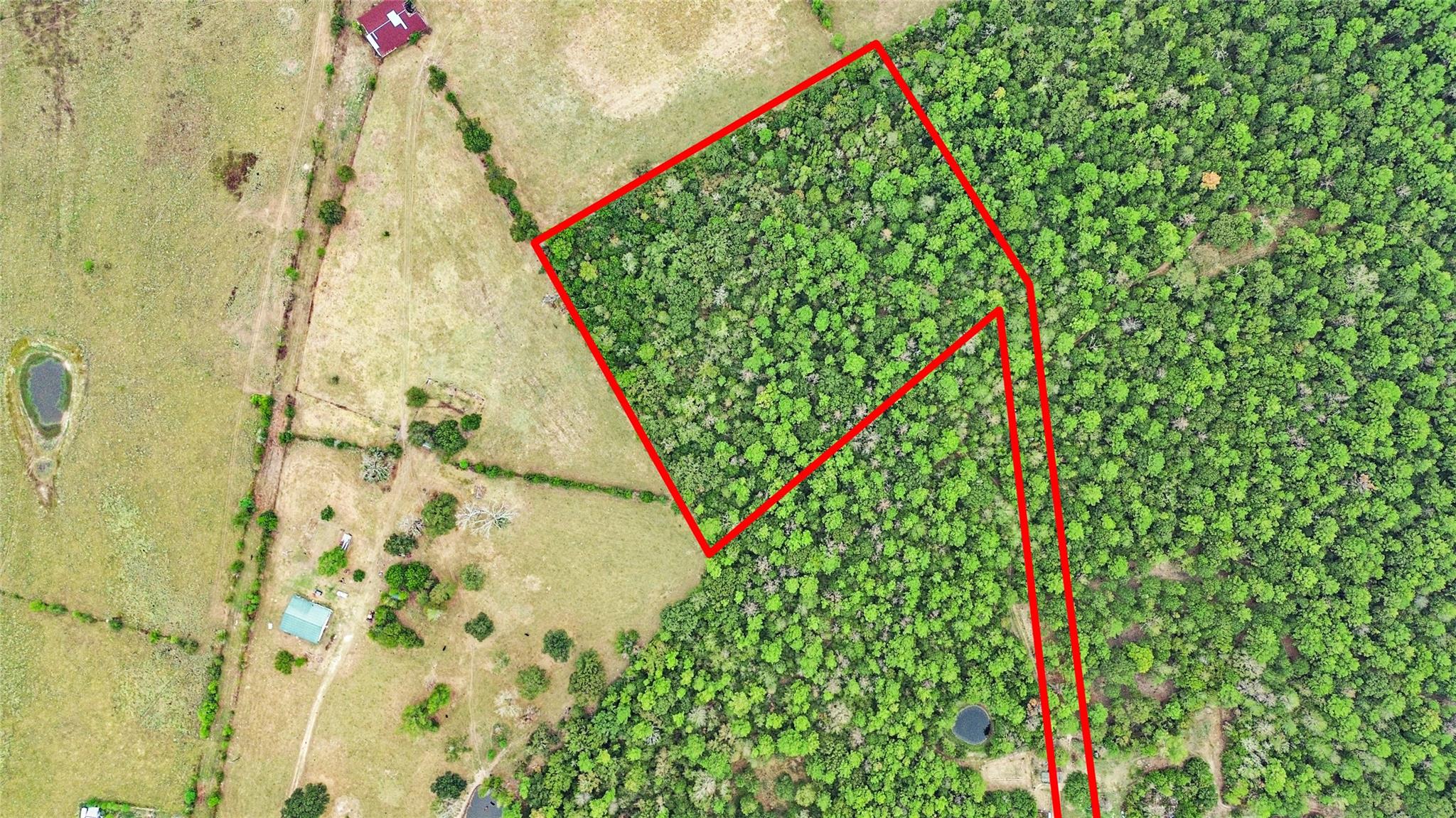 Land in Trinity 5