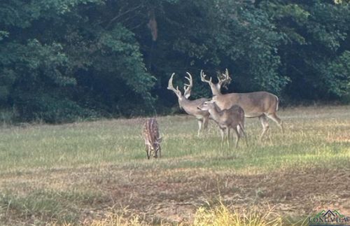 TBD Ma County Road 3222, Jefferson, TX, 75657 | Card Image