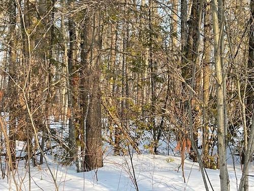 0 Sugarbush Cres, Lakehurst, ON, K0L1J0 | Card Image