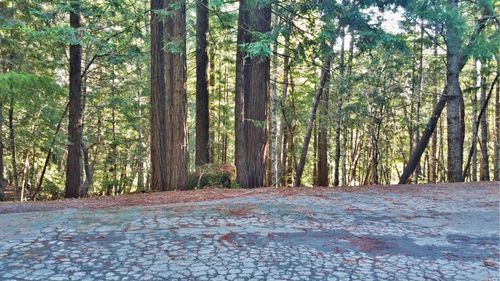 2421 Otter Ln, Willits, CA, 95490-8442 | Card Image