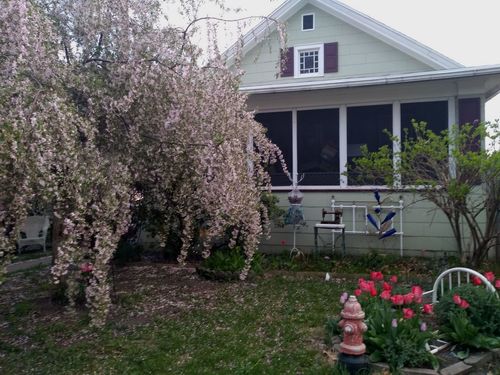 542 8th St, La Salle, IL, 61301-1808 | Card Image