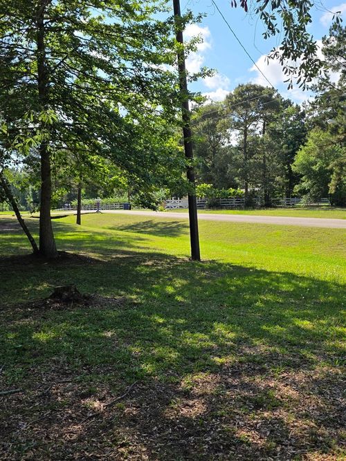 25356 Pine Knob Drive, Cleveland, TX, 77328 | Card Image