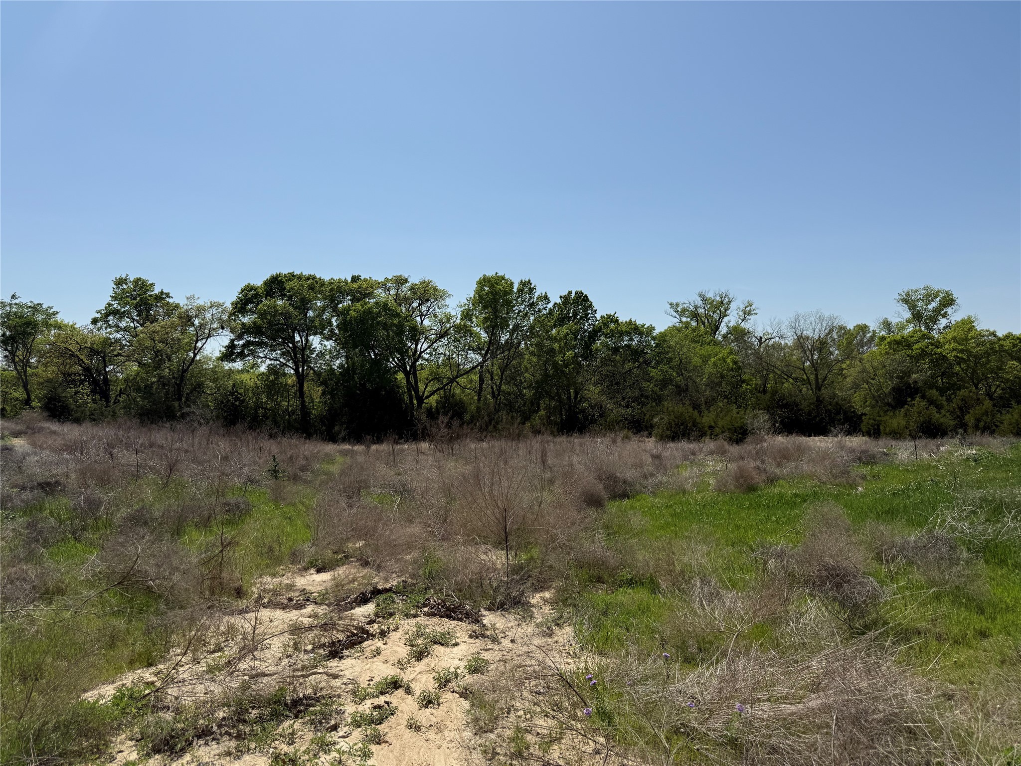 Land in Weatherford 5