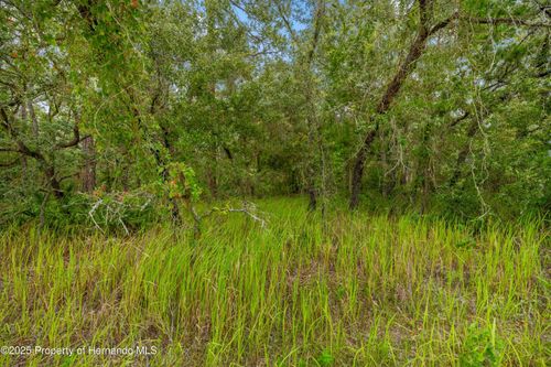 0000 Maybird Ave, BROOKSVILLE, FL, 34613 | Card Image