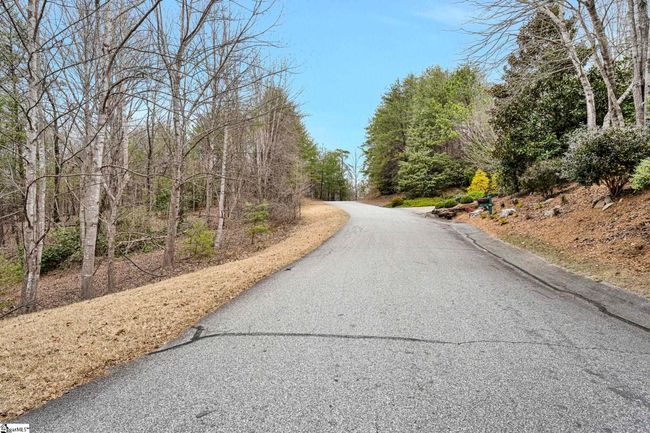 105 Buttercup Way, Home with 0 bedrooms, 0 bathrooms and null parking in Sunset SC | Image 9
