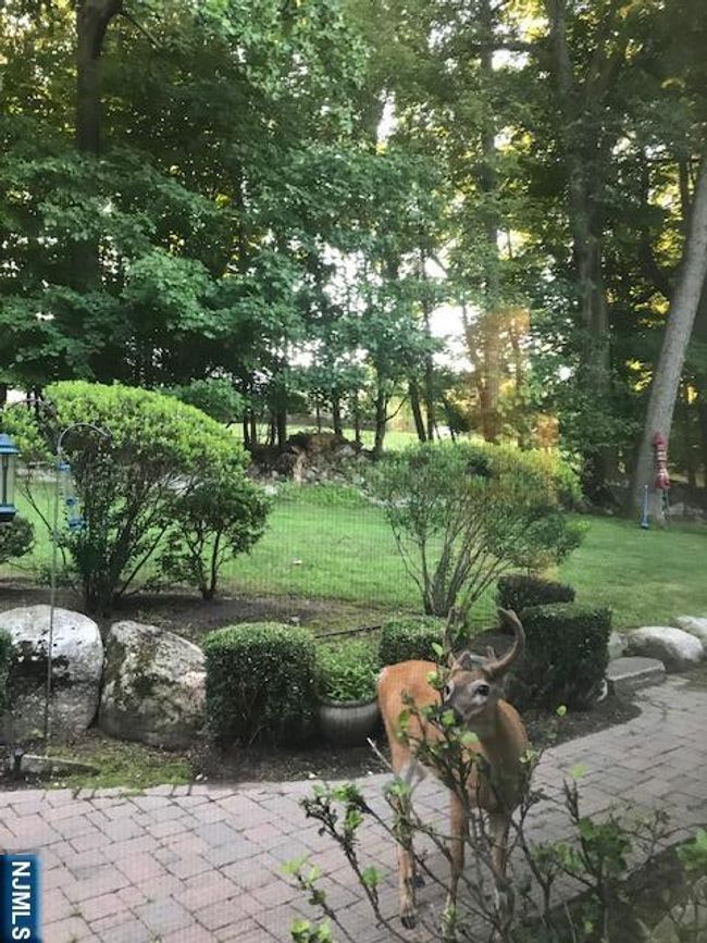 37 Osborne Ct, House other with 4 bedrooms, 3 bathrooms and null parking in Mahwah NJ | Image 48