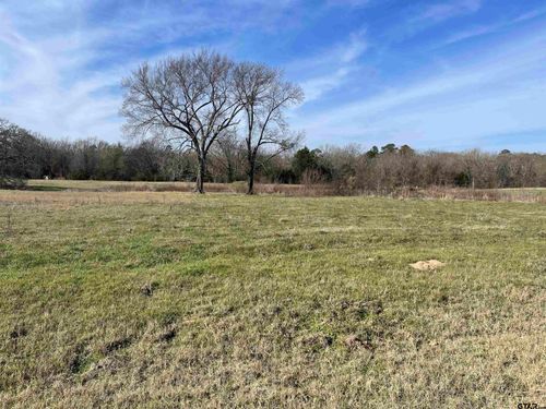TBD County Road 2320, Pittsburg, TX, 75686 | Card Image