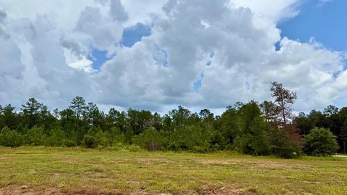 13190 Blackberry Dr, Lumberton, TX, 77657-1219 | Card Image
