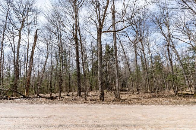 0 Bird Lake Rd, Home with 0 bedrooms, 0 bathrooms and null parking in Bracebridge ON | Image 24