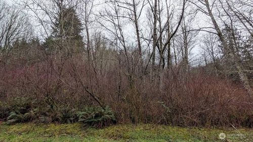 0 Ne Lovgreen Rd W, Bainbridge Island, WA, 98110 | Card Image