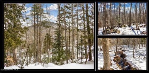 L64 Cooper Hill Rd, North Creek, NY, 12853 | Card Image