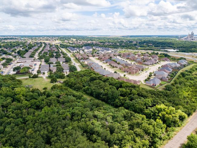 925 Walter Stephenson Rd, Home with 0 bedrooms, 0 bathrooms and null parking in Midlothian TX | Image 30