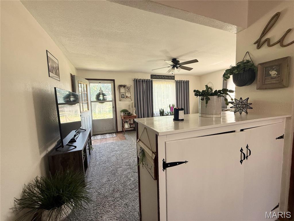Residential in Brashear 5