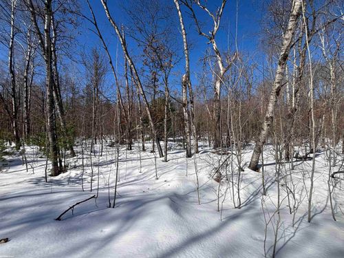 0 Pocahontas Ave, Roscommon, MI, 48653 | Card Image