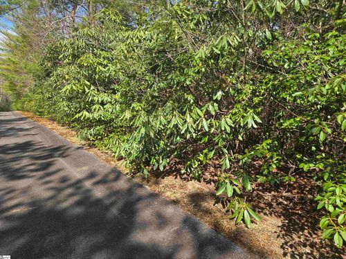 17 Cliff Ridge Dr, Cleveland, SC, 29635-9521 | Card Image