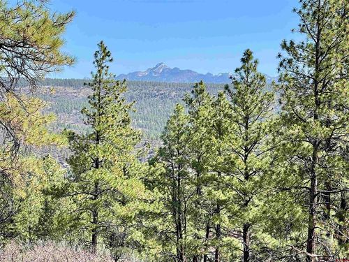 252 Starlight Pl, Pagosa Springs, CO, 81147-7218 | Card Image