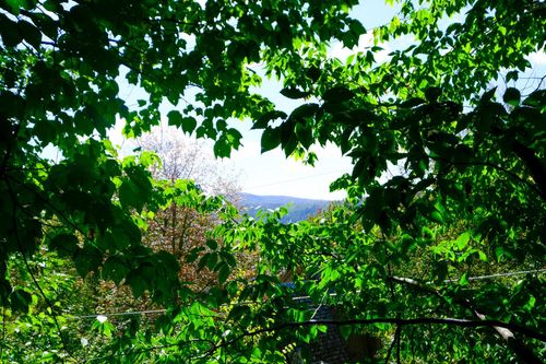 2-42 Coopers Trce, Plymouth, VT, 05056 | Card Image