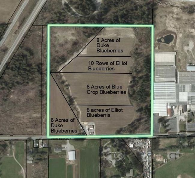Map location | Image 5