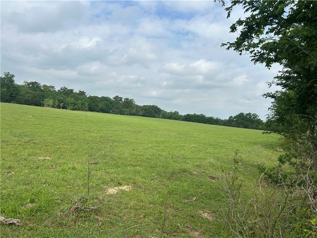 View of landscape with a view of trees and a rural view | Image 4