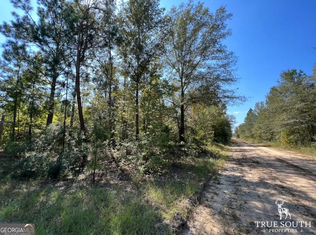 0 John S Horton Rd, Home with 0 bedrooms, 0 bathrooms and null parking in Adrian GA | Image 8