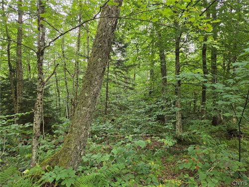000 William Ernst Road, Lewis, NY, 12950 | Card Image