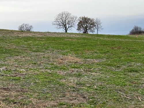 21738 Highway 98, Boonville, MO, 65233-3013 | Card Image