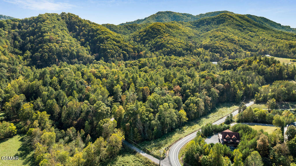 Land in Sevierville 3